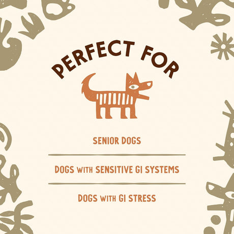 CAVE PETS - Cave Pets Super Blend Powder Turkey Tail & Probiotics 90 Servicios 90Gr. - The Red Vitamin MX - Suplementos Herbales Para Perros - {{ shop.shopifyCountryName }}