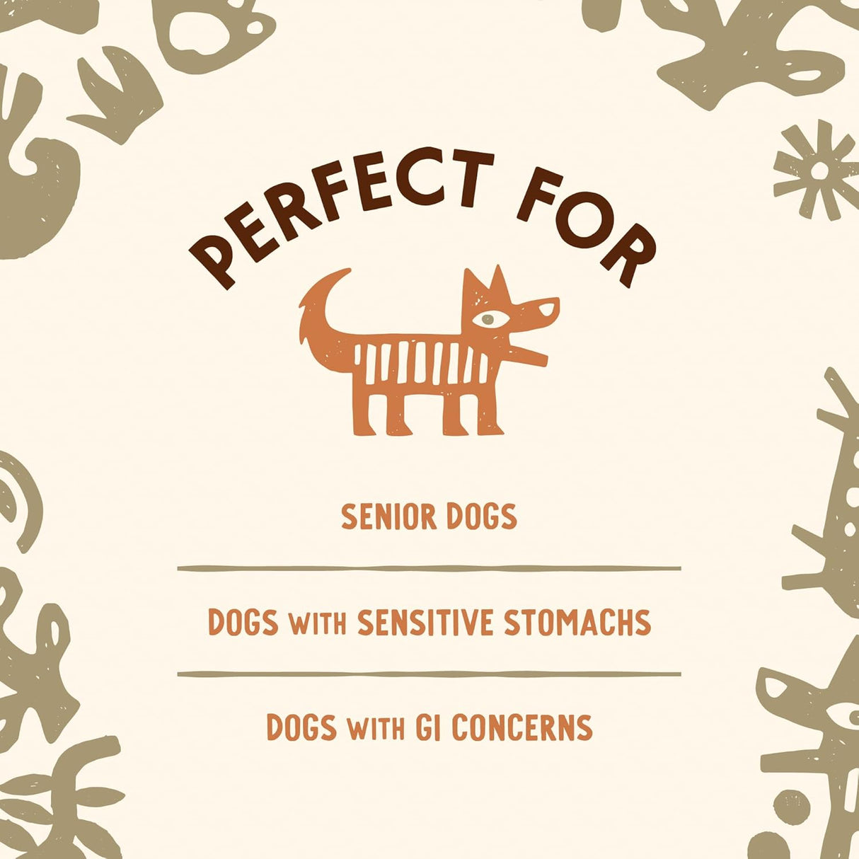 CAVE PETS - Cave Pets Super Blend Powder Reishi & Probiotics 90 Servicios 90Gr. - The Red Vitamin MX - Suplementos Herbales Para Perros - {{ shop.shopifyCountryName }}