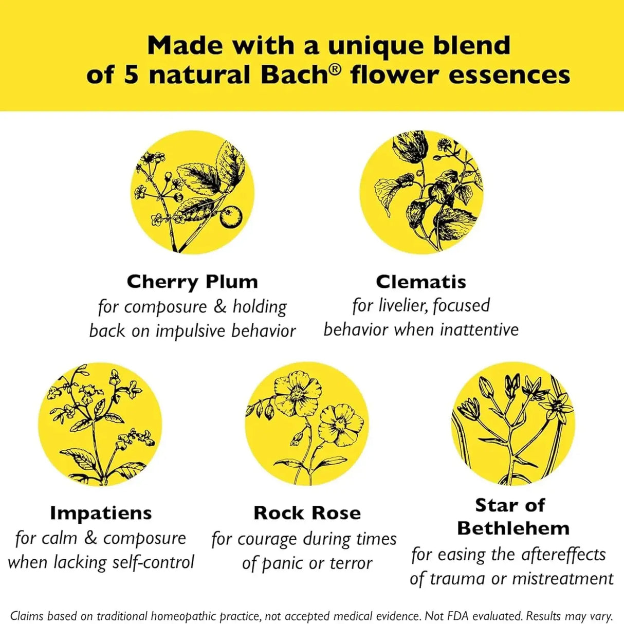 BACH - Bach RESCUE REMEDY PET Dropper Natural Stress Relief 20Ml. - The Red Vitamin MX - Relajantes Para Perros - {{ shop.shopifyCountryName }}