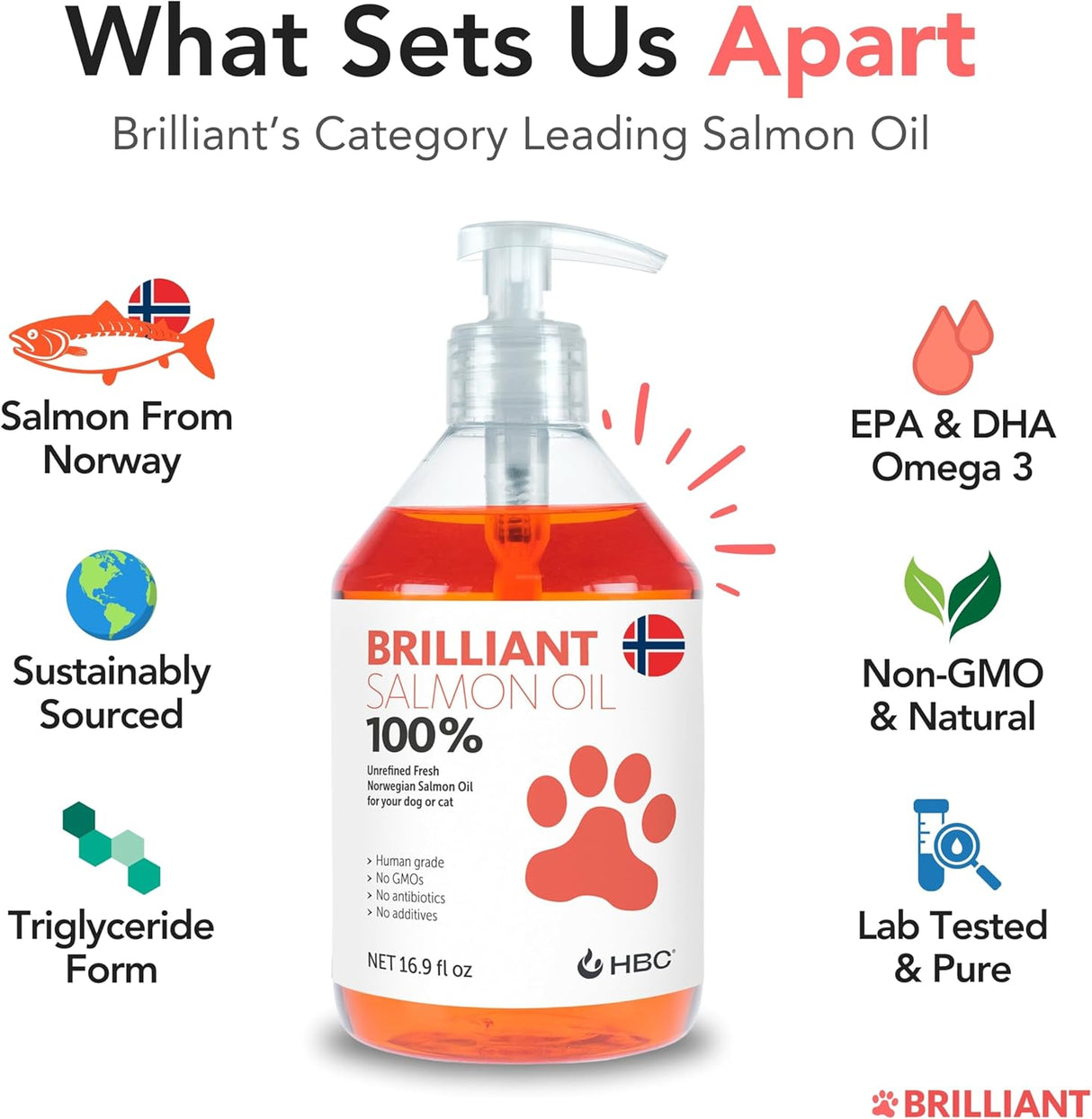 Hofseth BioCare Salmon Oil for Dogs 16.9 Fl.Oz.