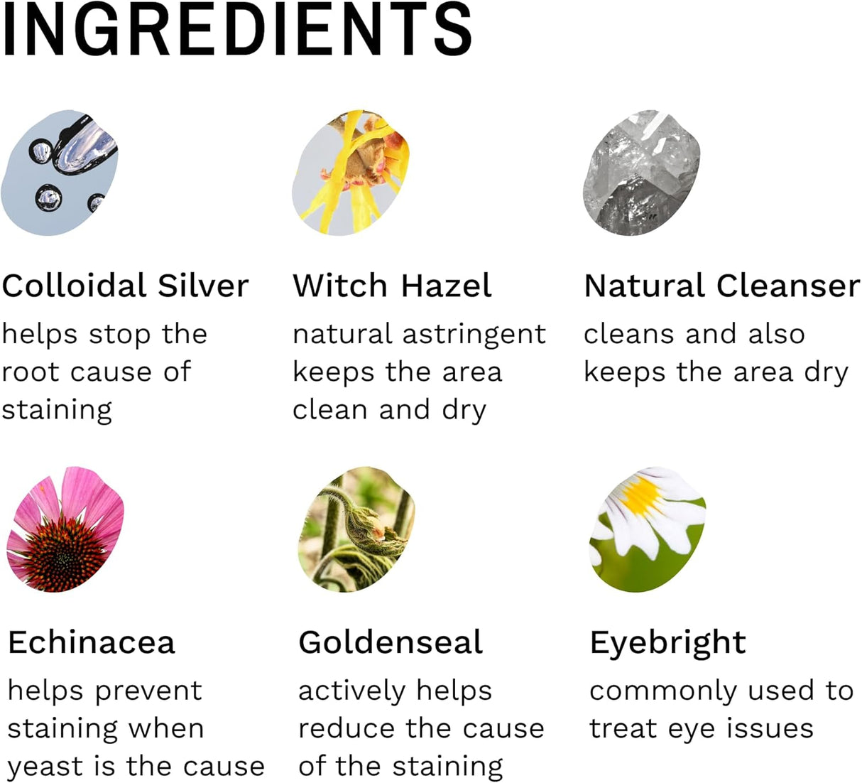 Eye Envy Cat Tear Stain Remover Starter Kit