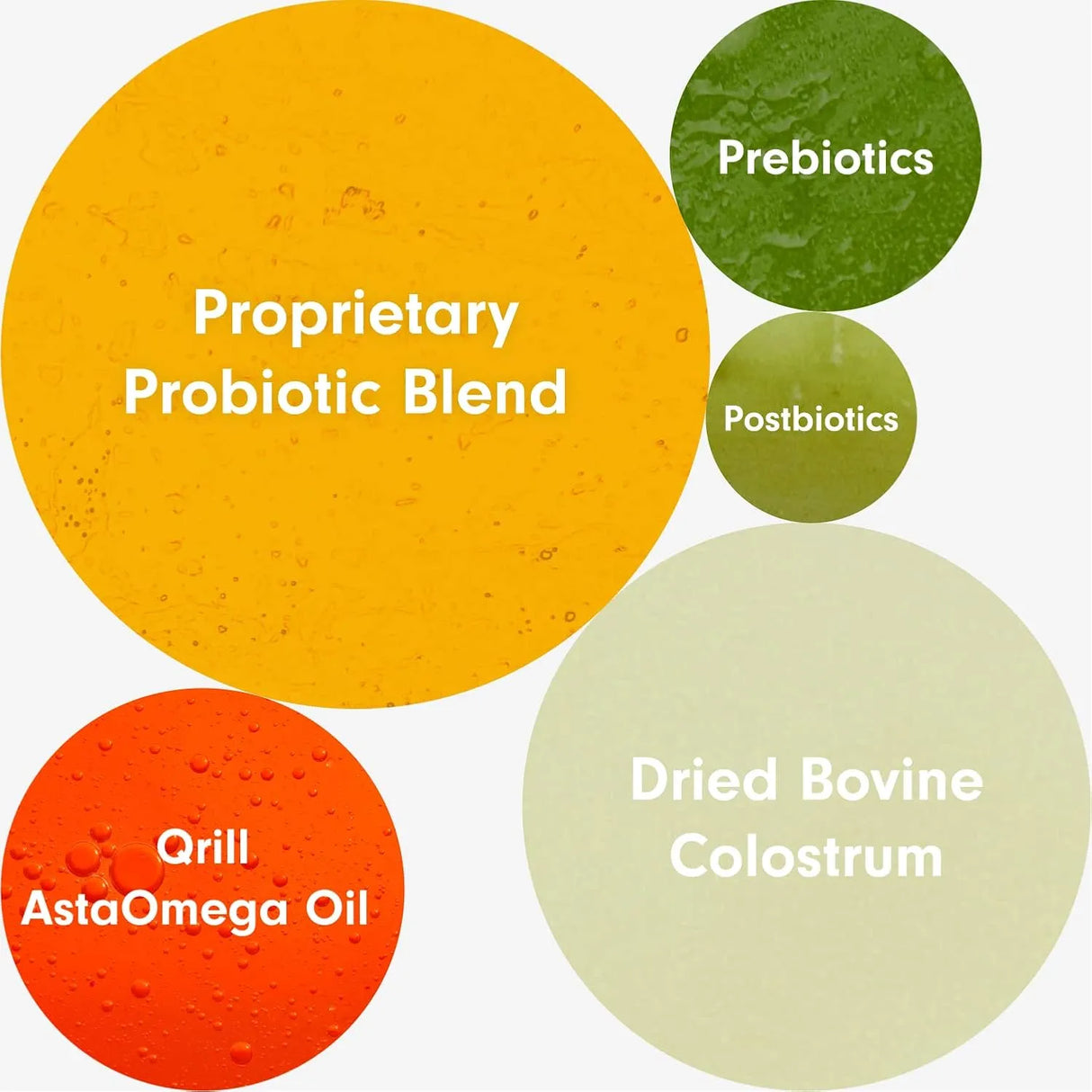 PETLAB CO. - PetLab Co. Allergy & Immune Daily Probiotics Large Size Dogs 30 Masticables - The Red Vitamin MX - Probióticos Para Perros - {{ shop.shopifyCountryName }}