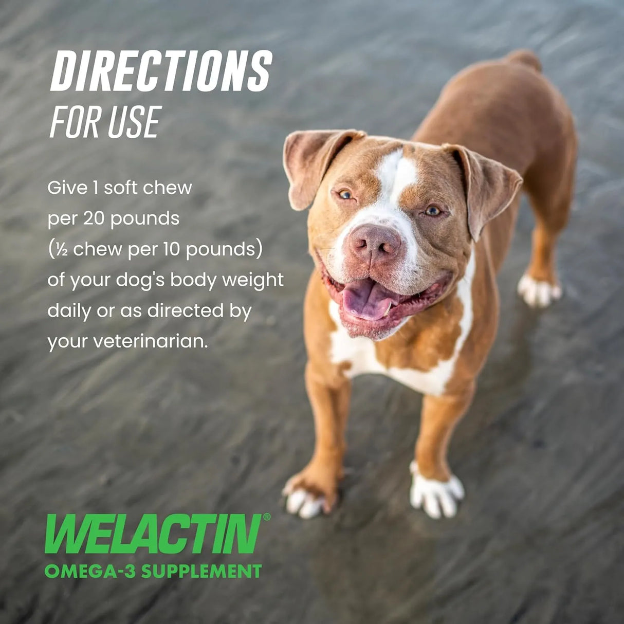 NUTRAMAX - Nutramax Welactin Daily Omega-3 Supplement For Dogs 60 Masticables - The Red Vitamin MX - Aceite De Pescado Para Perros - {{ shop.shopifyCountryName }}