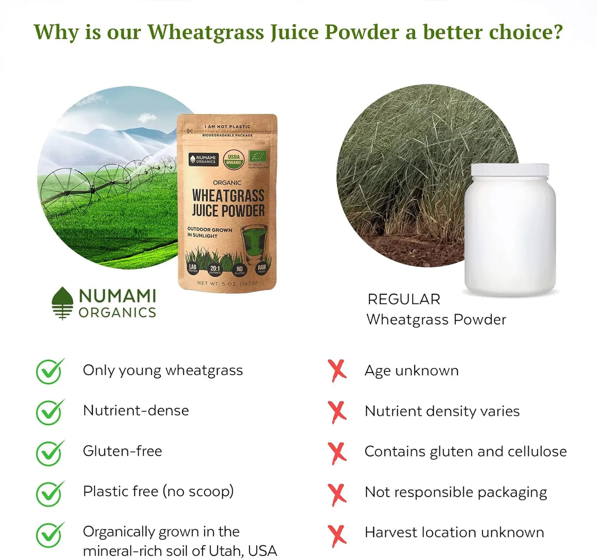 NUMAMI ORGANICS - Numami Organic Wheatgrass Juice Powder 142Gr. - The Red Vitamin MX - Suplementos Alimenticios - {{ shop.shopifyCountryName }}