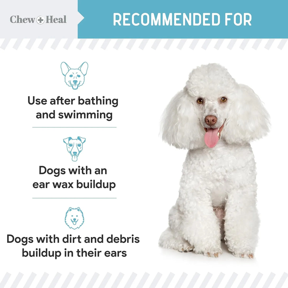 CHEW + HEAL - Chew + Heal Dog Ear Cleaner Solution 4 Fl.Oz. 2 Pack - The Red Vitamin MX - Cuidado Del Oído De Perros - {{ shop.shopifyCountryName }}