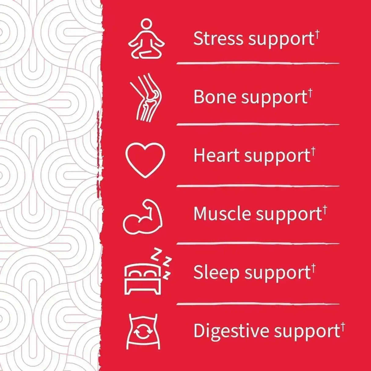 GARDEN OF LIFE - Garden of Life Dr Formulated Magnesium Citrate with Prebiotics & Probiotics 60 Gomitas - The Red Vitamin MX - Suplementos Alimenticios - {{ shop.shopifyCountryName }}