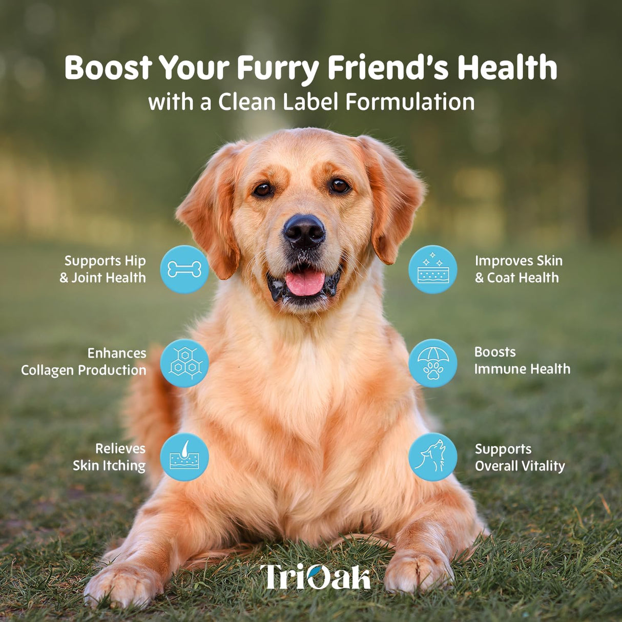TriOak Liquid Collagen Supplement Drops for Dogs 60Ml.