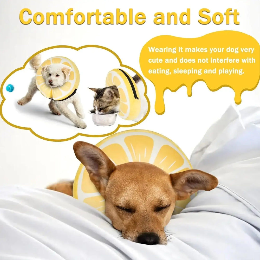 CNEO - Cneo Recovery Donut Collar LEMON MEDIUM - The Red Vitamin MX - Collares y Conos De Recuperación Para Perros - {{ shop.shopifyCountryName }}