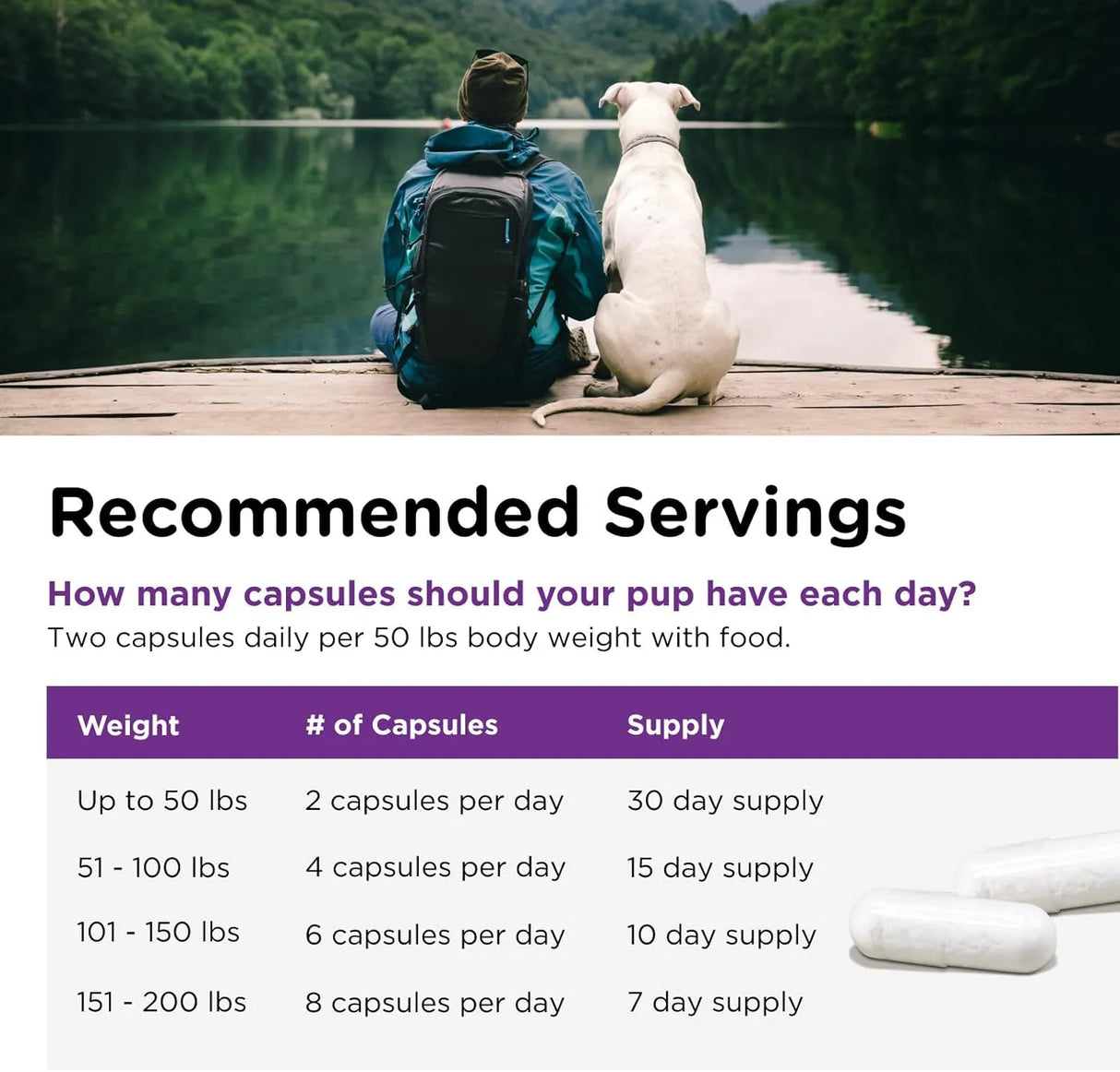 NUTRI-VET - Nutri-Vet Probiotics Capsules for Dogs 60 Capsulas - The Red Vitamin MX - Probióticos Para Perros - {{ shop.shopifyCountryName }}