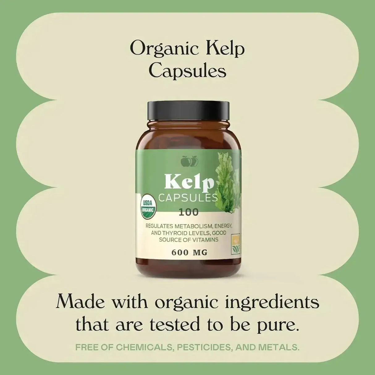 COMPLETE NATURAL PRODUCTS - Complete Natural Products Raw Sea Kelp 600Mg. 100 Capsulas - The Red Vitamin MX - Suplementos Alimenticios - {{ shop.shopifyCountryName }}