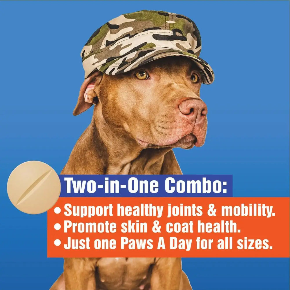 PAWS A DAY - Paws A Day Glucosamine for Dogs Hip & Joint Supplement 60 Masticables - The Red Vitamin MX - Cuidado De Cadera Y Articulaciones Para Perros - {{ shop.shopifyCountryName }}