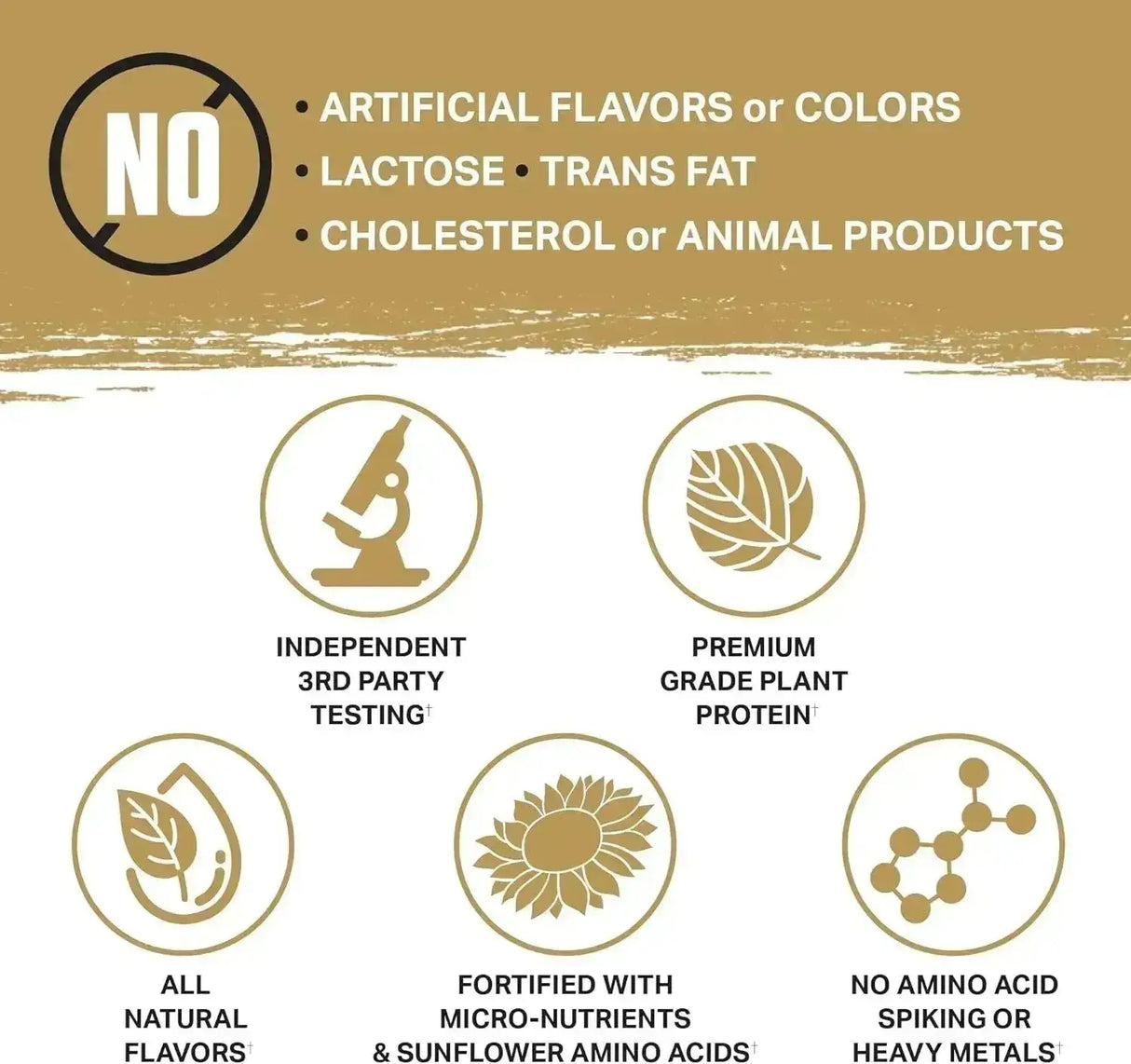 AMBROSIA - Ambrosia Planta Premium Organic Plant-Based Protein 25 Servicios Cookies Cream 937Gr. - The Red Vitamin MX - Suplementos Alimenticios - {{ shop.shopifyCountryName }}