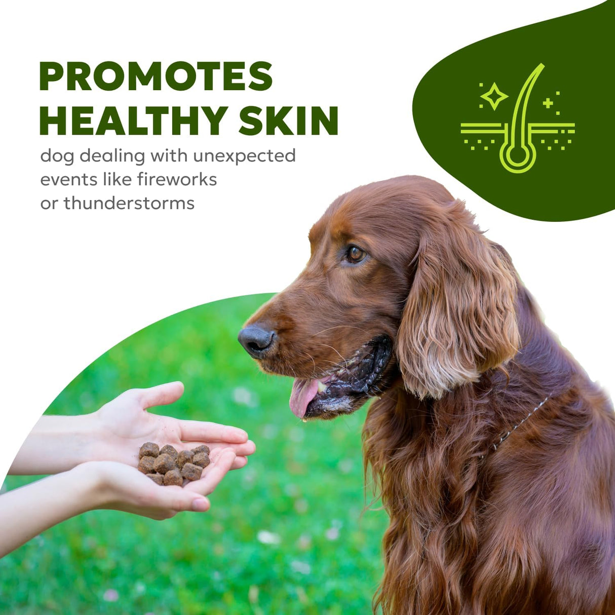 Wholesome Pet Wags Skin & Coat Soft Chews 60 Masticables