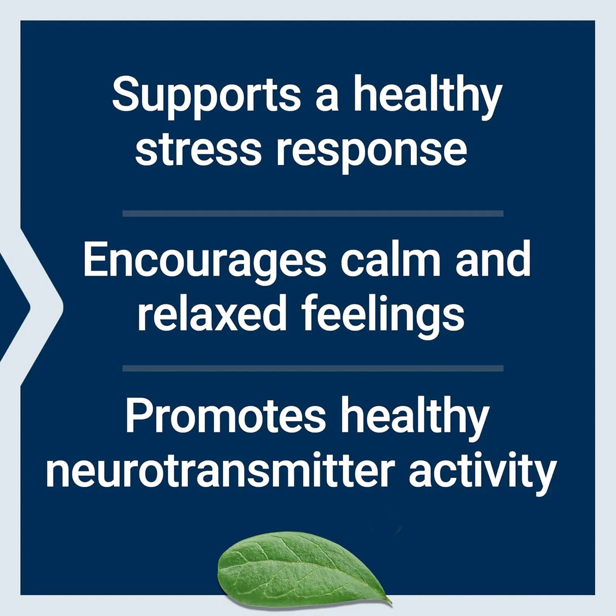 LIFE EXTENSION - Life Extension Calm-Mag 30 Capsulas - The Red Vitamin MX - Suplementos Alimenticios - {{ shop.shopifyCountryName }}