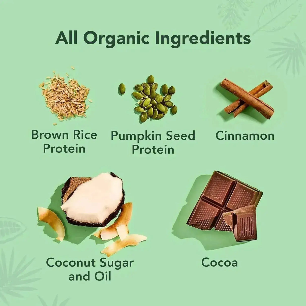 ALOHA - ALOHA Organic Plant Based Protein Powder Chocolate 15 Servicios 540Gr. - The Red Vitamin MX - Suplementos Alimenticios - {{ shop.shopifyCountryName }}