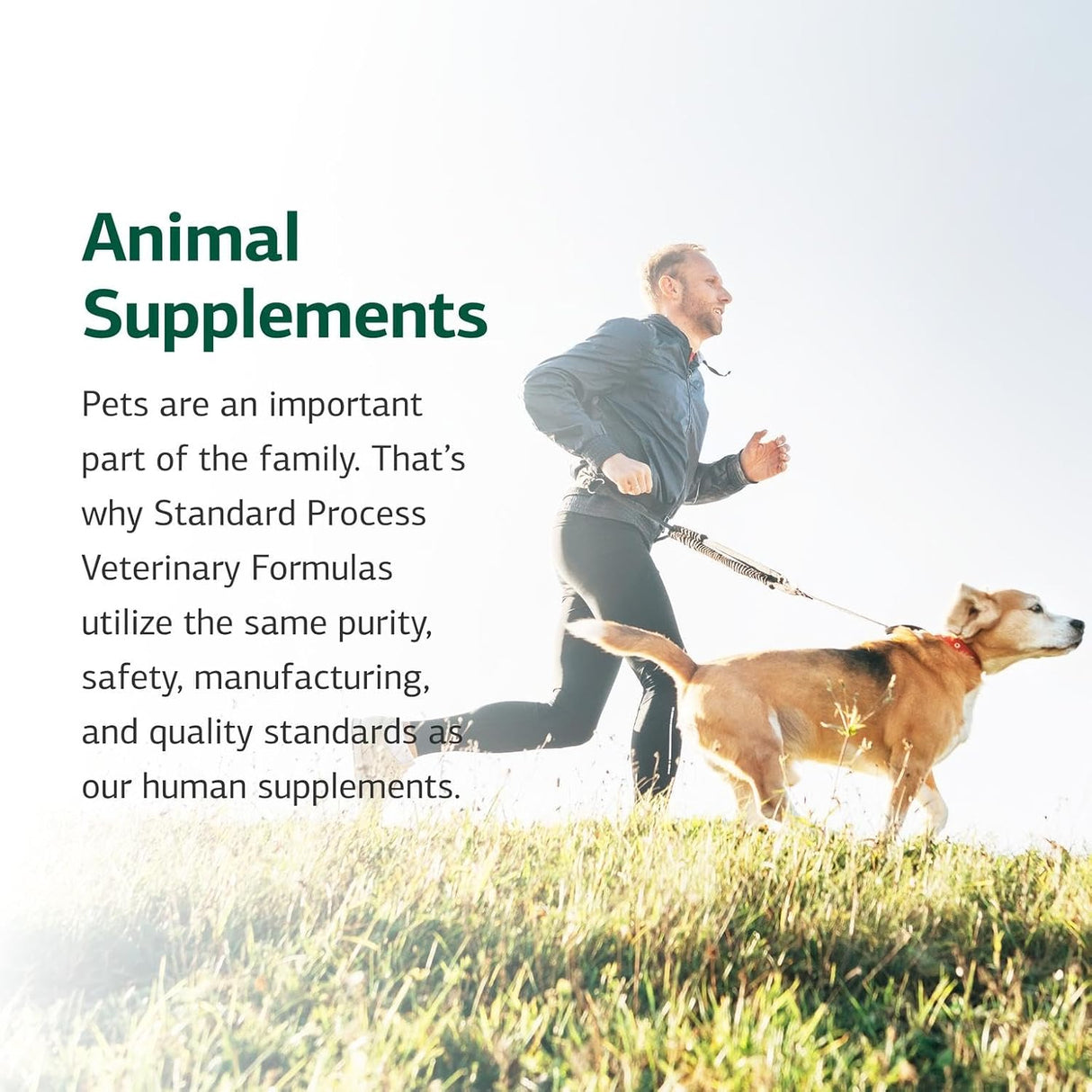 Standard Process Canine Enteric Support 30Gr.