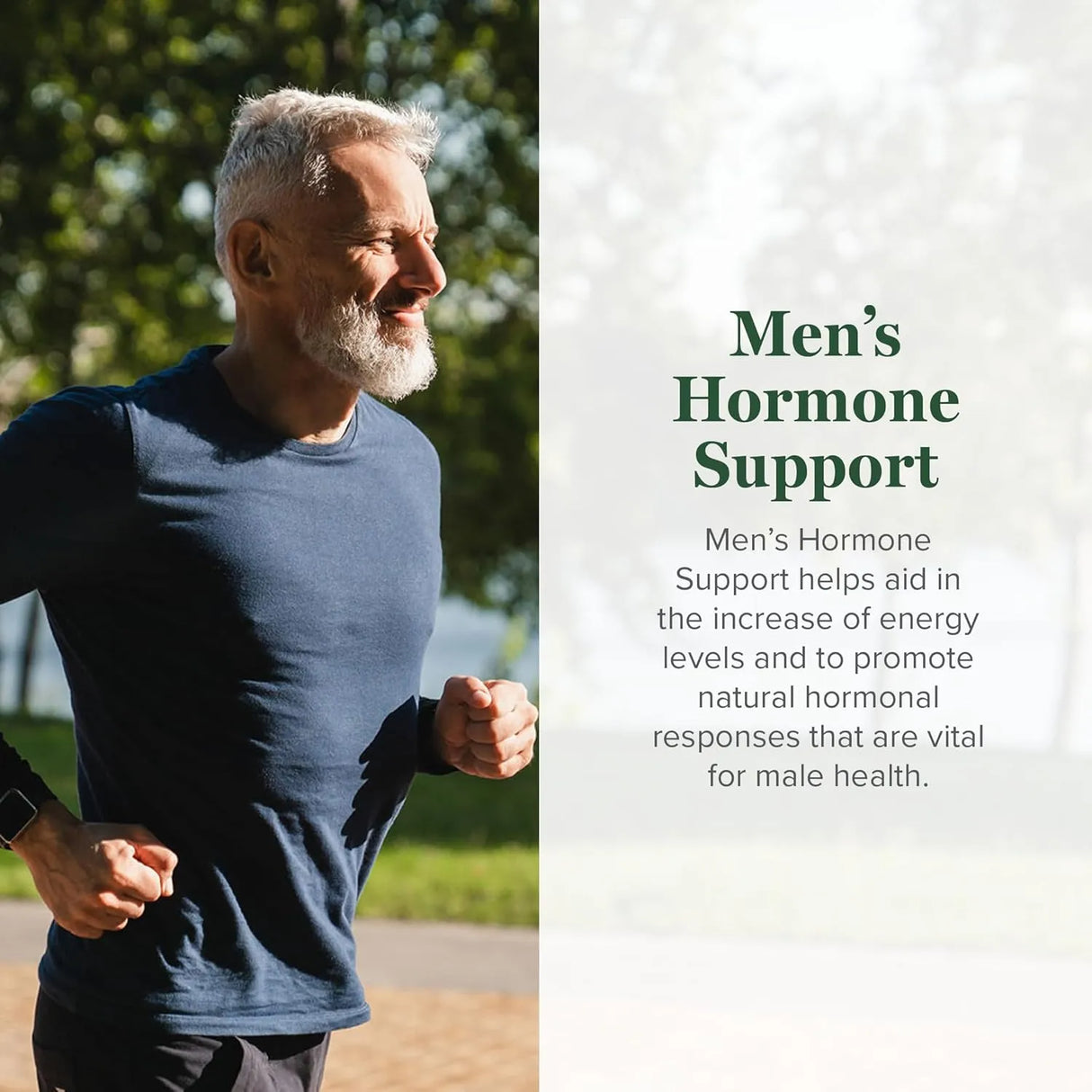 GLOBAL HEALING CENTER - Global Healing Center Men's Hormone Support 2 Fl.Oz. - The Red Vitamin MX - Suplementos Alimenticios - {{ shop.shopifyCountryName }}