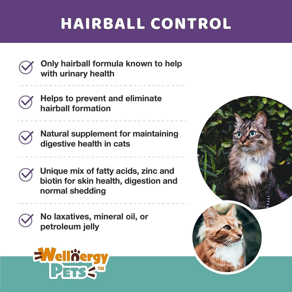 Wellnergy Pets Natural Hairball Control Chews for Cats 70 Masticables