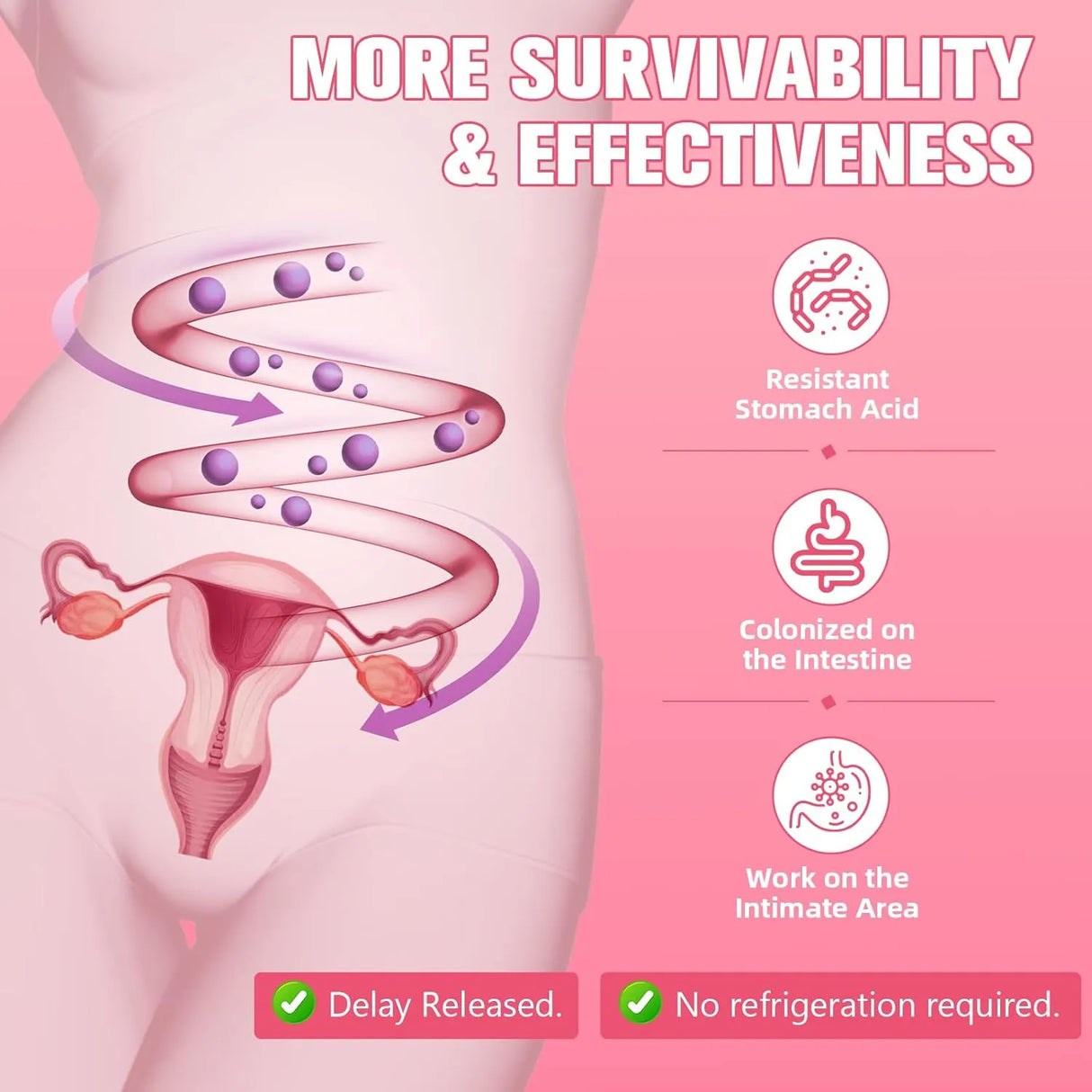 TOTARIA - Totaria 40-in-1 Menopause 120 Capsulas - The Red Vitamin MX - Suplementos Alimenticios - {{ shop.shopifyCountryName }}