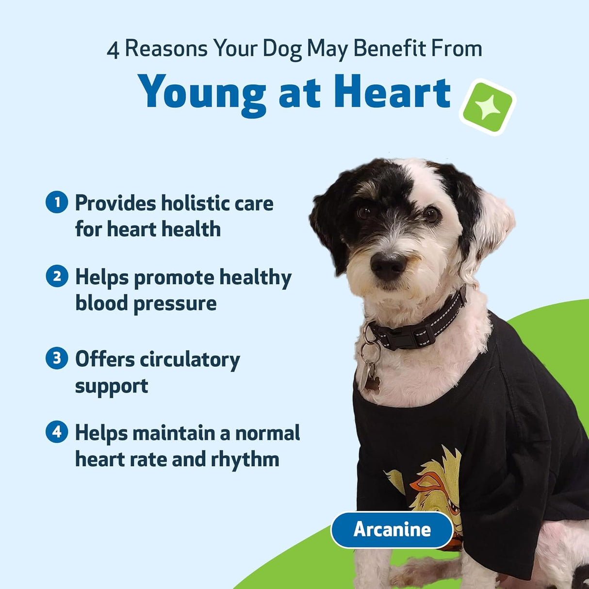 Pet Wellbeing Young at Heart for Dogs 4 Fl.Oz.