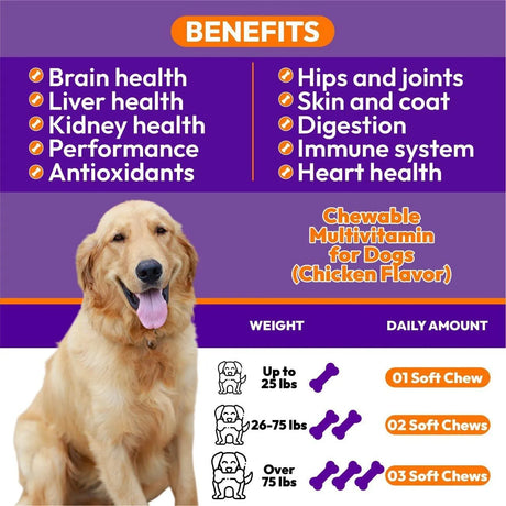 KARACHY - Karachy Multivitamins for Adult Dogs 120 Tabletas Masticables - The Red Vitamin MX - Multivitamínicos Para Perros - {{ shop.shopifyCountryName }}