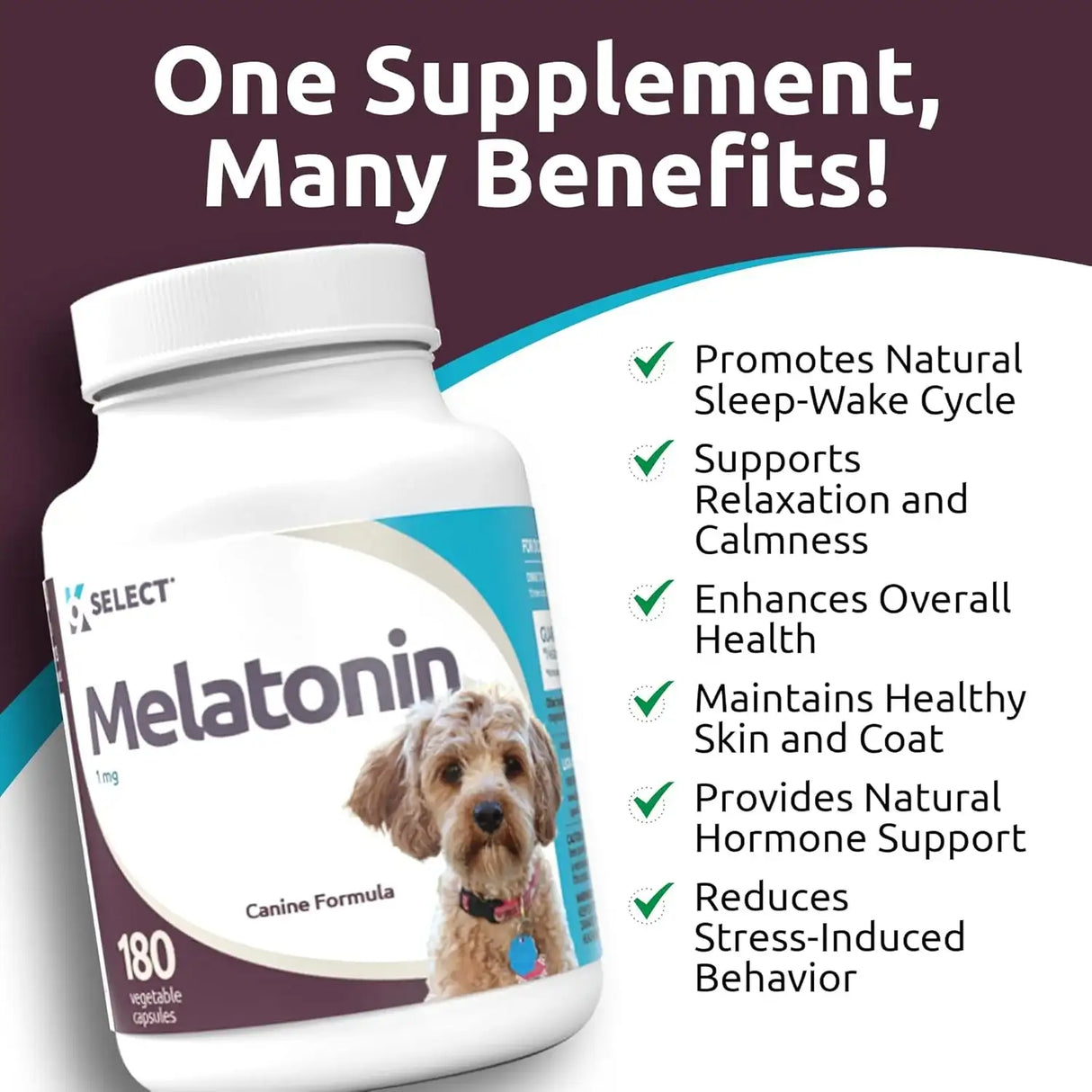 K9 SELECT - K9 Select Melatonin for Small Dogs Unflavored 1Mg. 180 Capsulas - The Red Vitamin MX - Relajantes Para Perros - {{ shop.shopifyCountryName }}