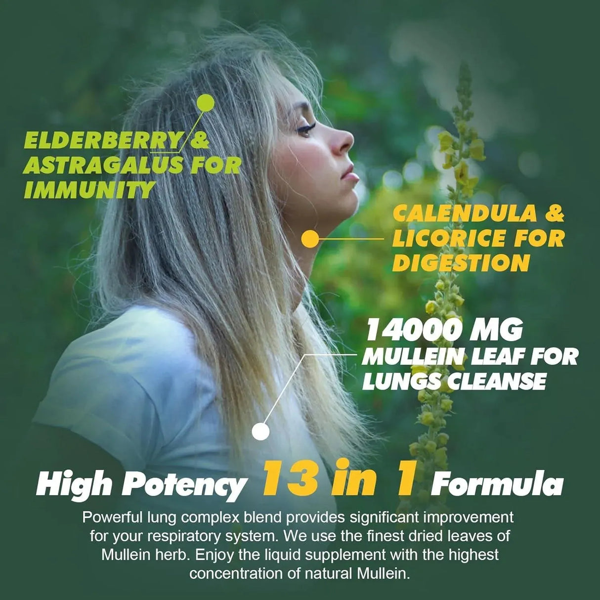 GREENPEOPLE - GreenPeople Mullein Leaf Extract Drops for Lungs 2 Fl.Oz. - The Red Vitamin MX - Suplementos Alimenticios - {{ shop.shopifyCountryName }}