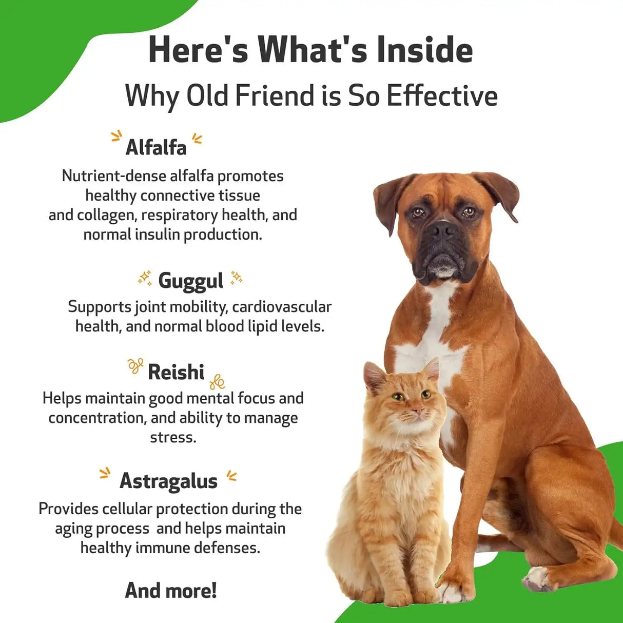 PET WELLBEING - Pet Wellbeing Old Friend for Senior Dogs 4 Fl.Oz. - The Red Vitamin MX - Multivitamínicos Para Perros - {{ shop.shopifyCountryName }}