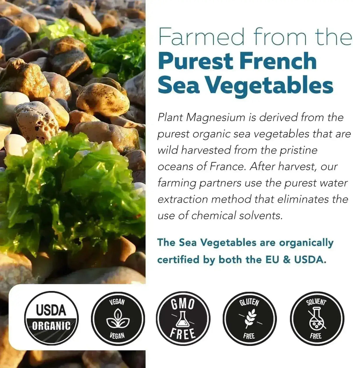 TRIQUETRA - Triquetra Health Plant Magnesium 250Mg. 60 Capsulas - The Red Vitamin MX - Suplementos Alimenticios - {{ shop.shopifyCountryName }}