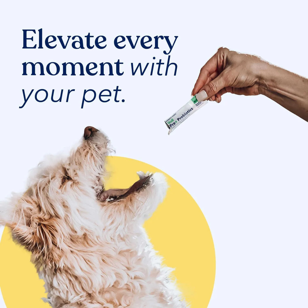 HONEST PAWS - Honest Paws Premium Probiotic Powder Pumpkin 30 Paquetes - The Red Vitamin MX - Probióticos Para Perros - {{ shop.shopifyCountryName }}