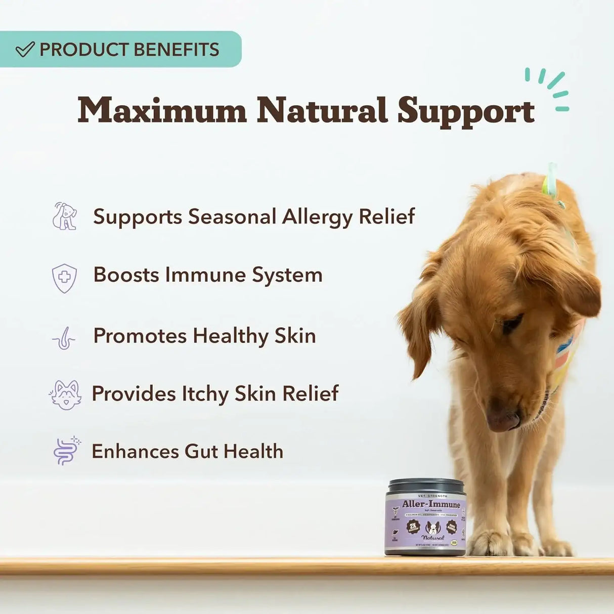 NATURAL DOG - Natural Dog Company Vet Strength Aller Immune Chews 90 Masticables - The Red Vitamin MX - Remedios Para La Picazón De Perros - {{ shop.shopifyCountryName }}