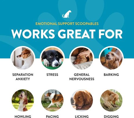 NATURVET - NaturVet Scoopables Emotional Support for Dogs 315Gr. - The Red Vitamin MX - Relajantes Para Perros - {{ shop.shopifyCountryName }}