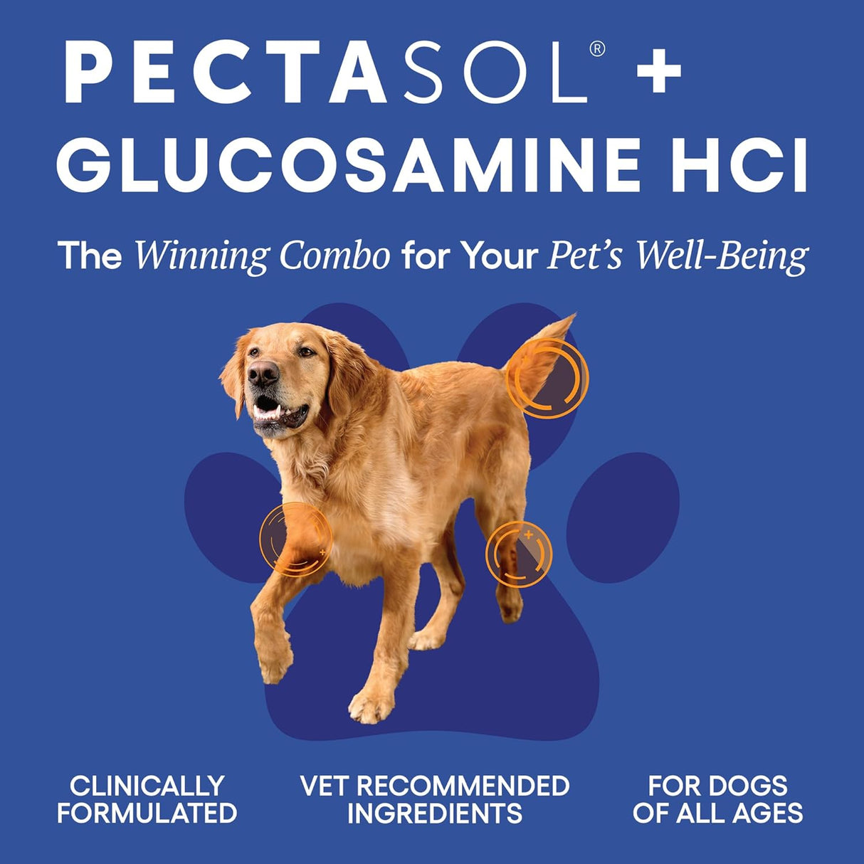 ecoNugenics PectaPaws Joints and Mobility Support 90 Tabletas Masticables