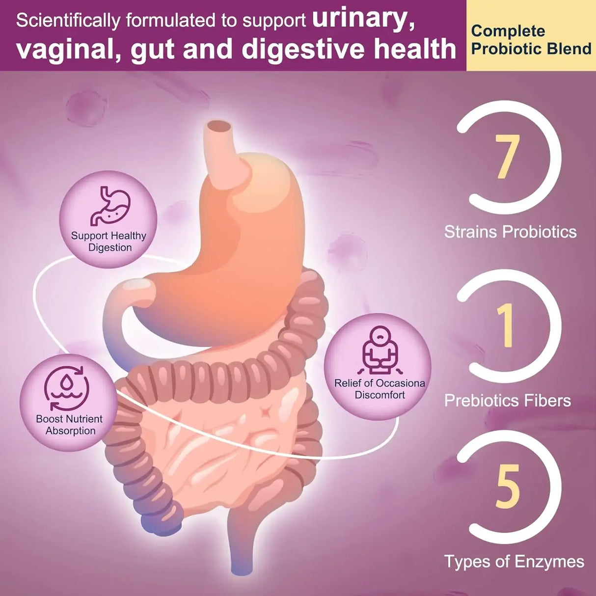 DR FOSTER - DRFOSTER Urinary Tract Health for Women 90 Capsulas - The Red Vitamin MX - Suplementos Alimenticios - {{ shop.shopifyCountryName }}