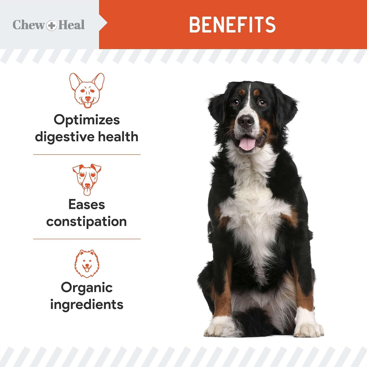 Chew + Heal Labs Organic Pumpkin Powder for Dogs 16 Oz.