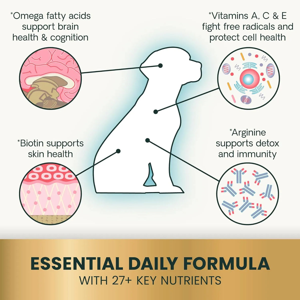 VETRISCIENCE - VetriScience 27+ Active Health for Puppies and Adult Dogs 30 Masticables - The Red Vitamin MX - Multivitamínicos Para Perros - {{ shop.shopifyCountryName }}