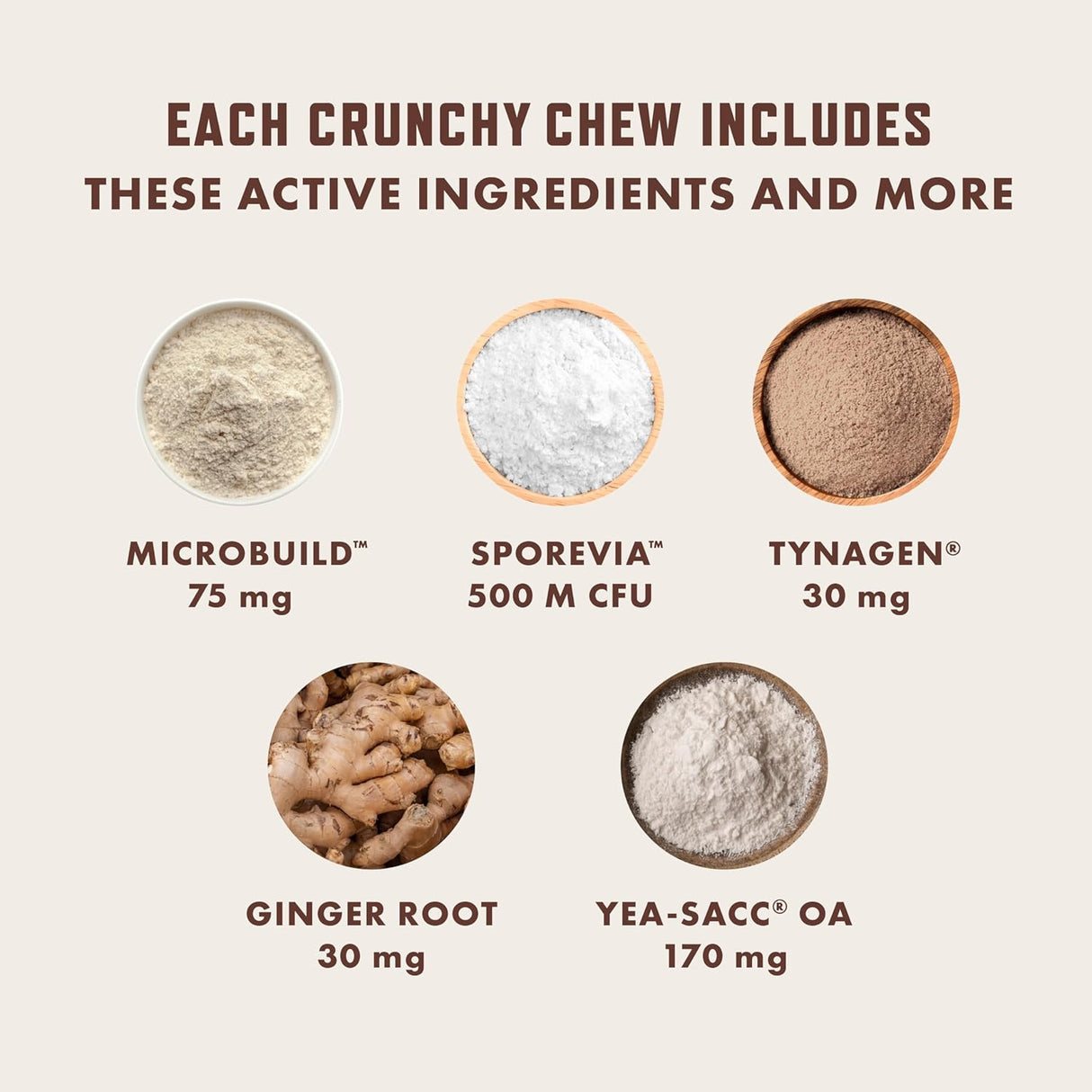 Rocco & Roxie Cat Probiotic Health Supplement for Cats 104Gr.