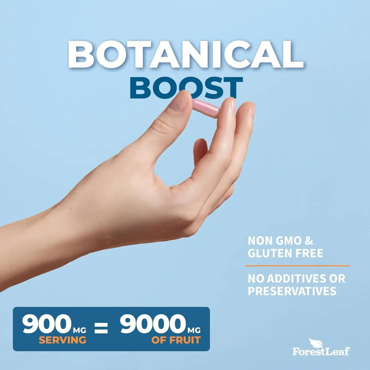 FOREST LEAF - ForestLeaf Sambucus Elderberry with Vitamin C and Zinc 9000Mg. 60 Capsulas - The Red Vitamin MX - Suplementos Alimenticios - {{ shop.shopifyCountryName }}