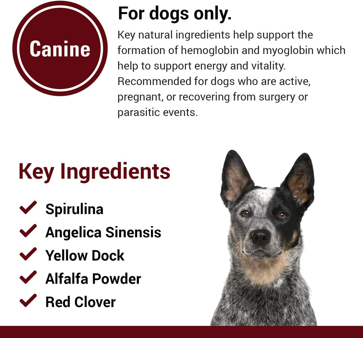 Vet Classics Blood & Energy Support for Dogs 120 Tabletas Masticables