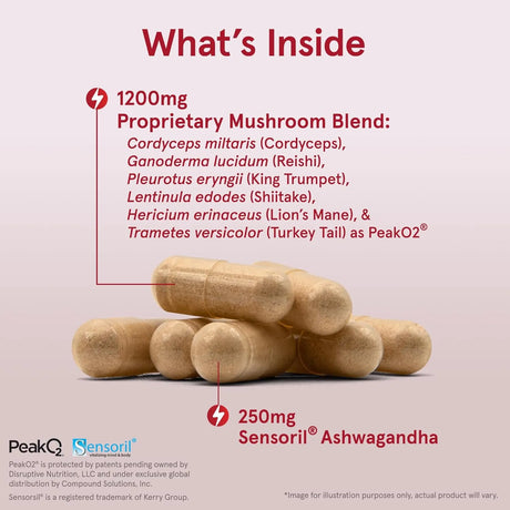 JARROW FORMULAS - Jarrow Formulas Energy Optimizer Mushrooms Adaptogens 90 Capsulas - The Red Vitamin MX - Suplementos Alimenticios - {{ shop.shopifyCountryName }}