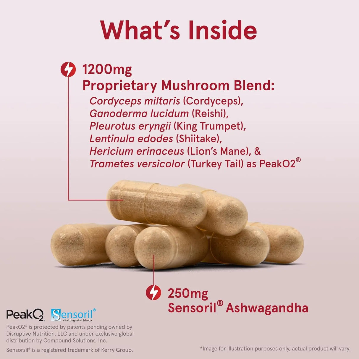 JARROW FORMULAS - Jarrow Formulas Energy Optimizer Mushrooms Adaptogens 90 Capsulas - The Red Vitamin MX - Suplementos Alimenticios - {{ shop.shopifyCountryName }}