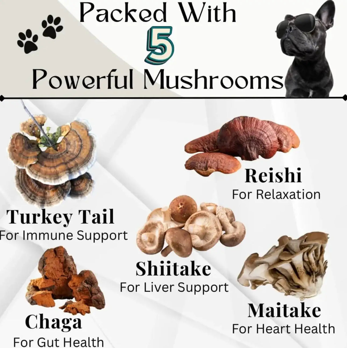 ELECTRIC ELIXIR - Electric Elixir Dogs Immune Support Mushroom Supplement 90 Masticables - The Red Vitamin MX - Suplementos Herbales Para Perros - {{ shop.shopifyCountryName }}