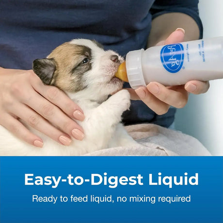 PETAG - Pet-Ag PetLac Ready-to-Feed Milk Replacement for Puppies Newborn to Six Weeks Old 946Ml. - The Red Vitamin MX - Sustitutos De Leche Para Perros - {{ shop.shopifyCountryName }}