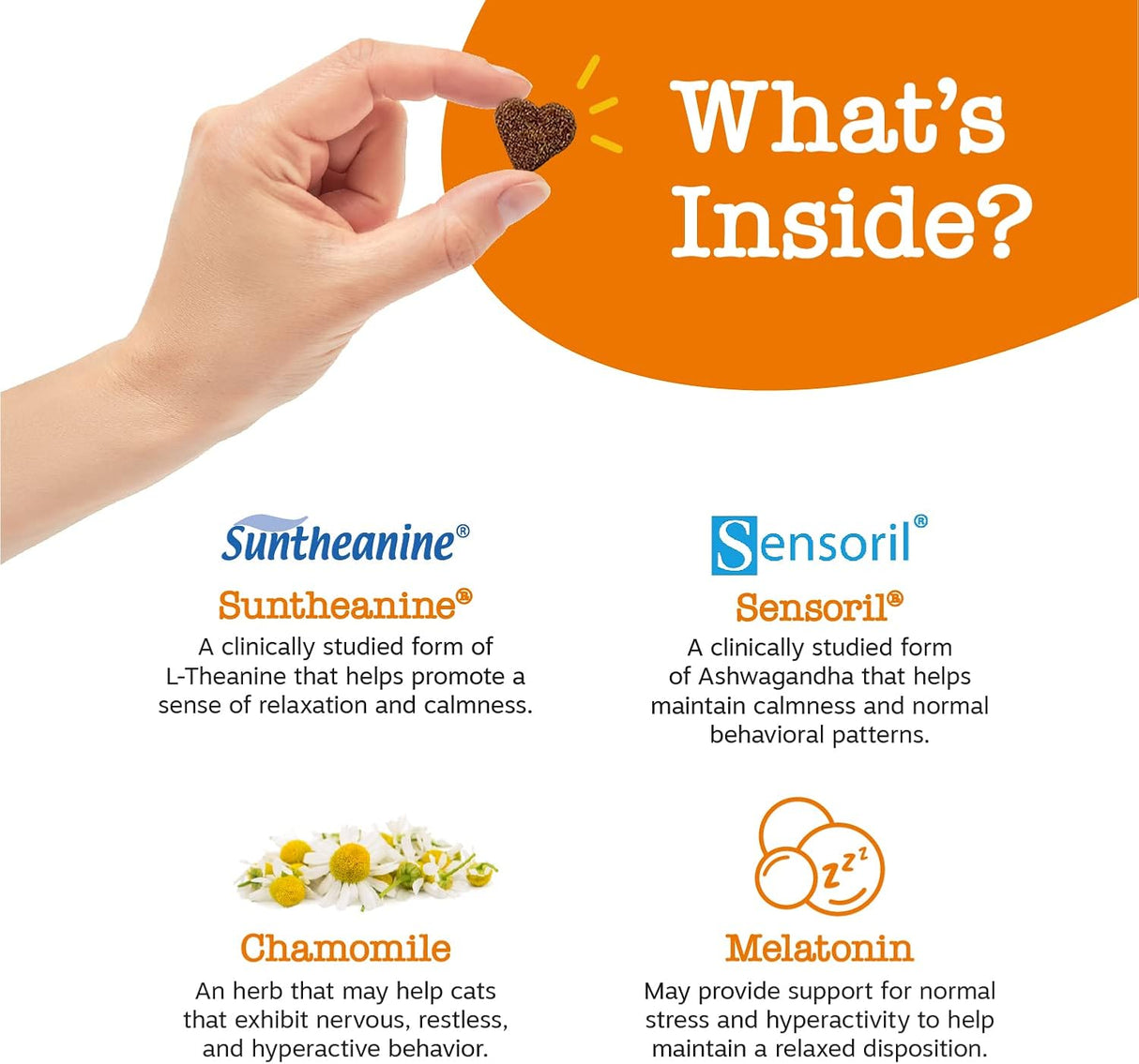 Zesty Paws Calming Chews for Cats Bacon 60 Masticables