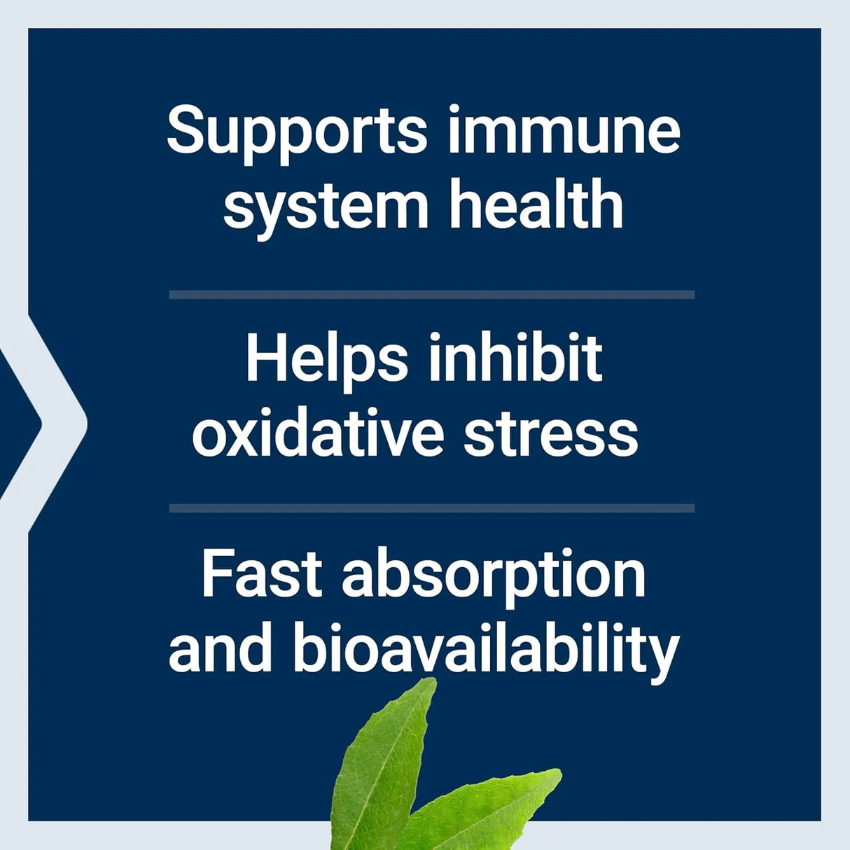 LIFE EXTENSION - Life Extension Fast-C and Bio-Quercetin 60 Tabletas - The Red Vitamin MX - Suplementos Alimenticios - {{ shop.shopifyCountryName }}