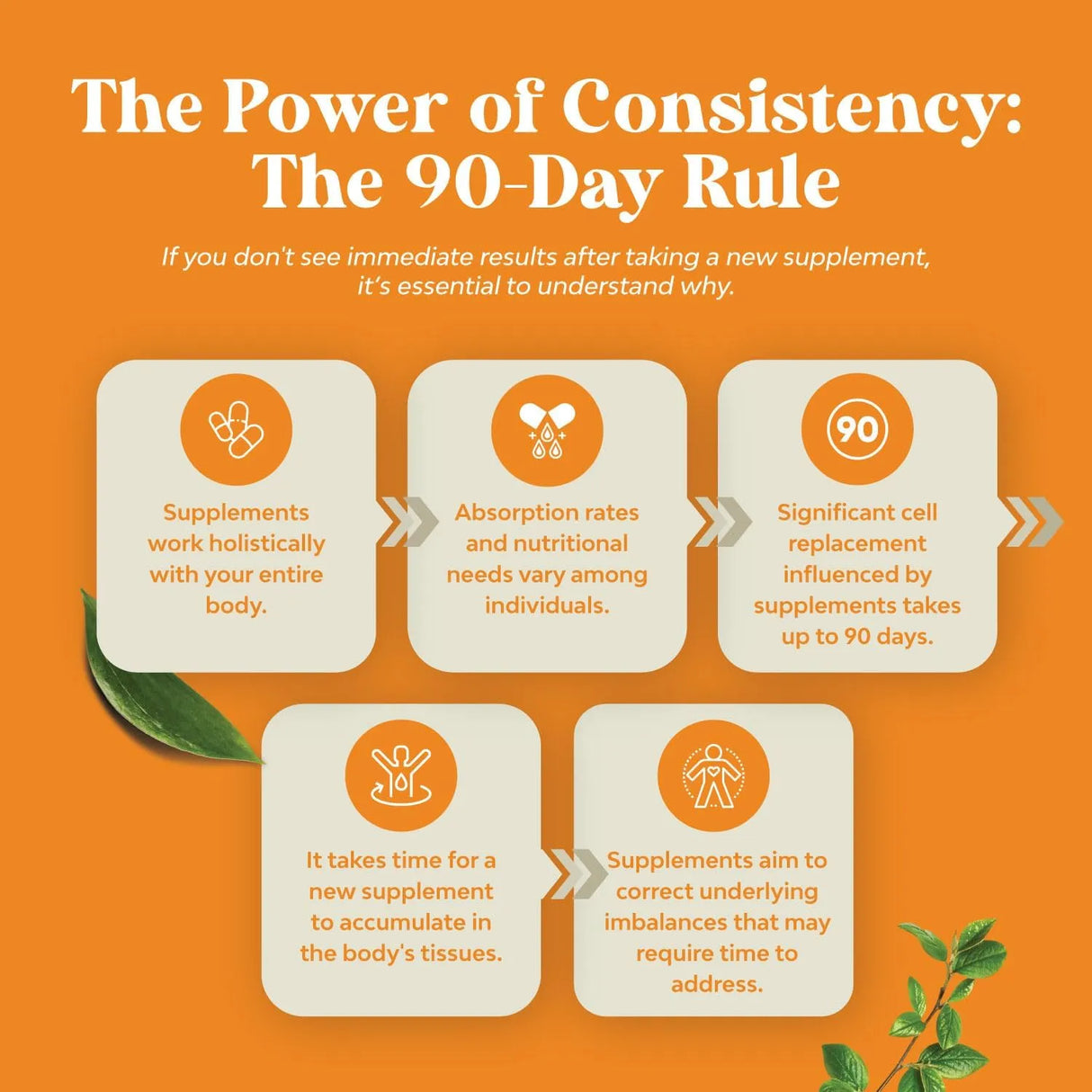 NATURES CRAFT - Natures Craft Natural White Kidney Bean Extract 60 Capsulas - The Red Vitamin MX - Suplementos Alimenticios - {{ shop.shopifyCountryName }}