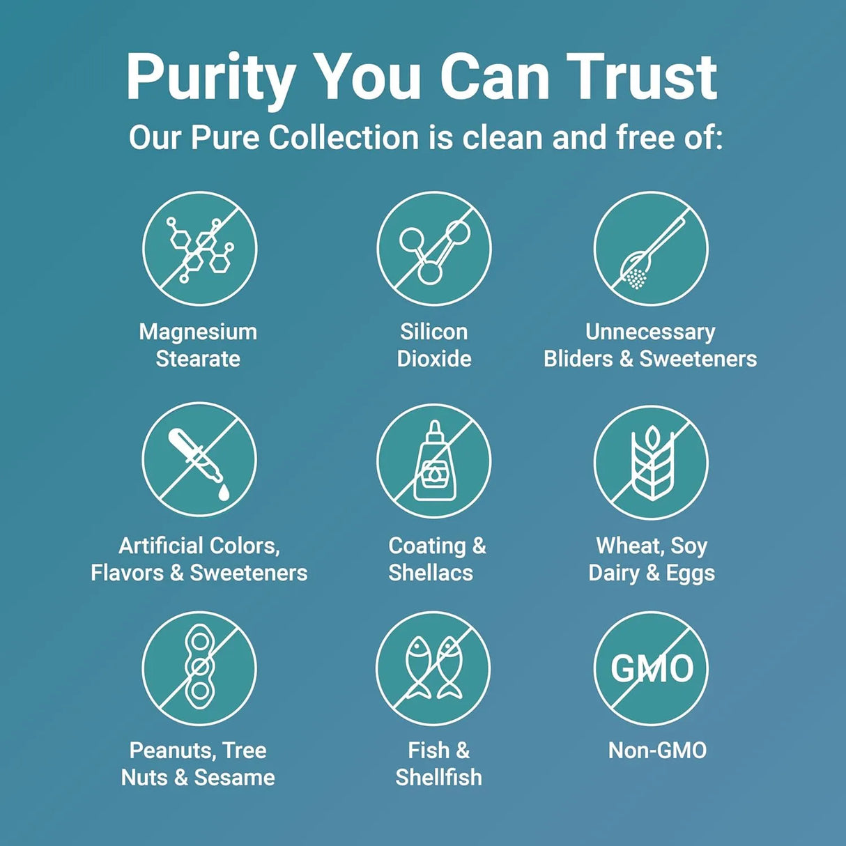 MICRO INGREDIENTS - Micro Ingredients Methylated B Complex 240 Capsulas - The Red Vitamin MX - Suplementos Alimenticios - {{ shop.shopifyCountryName }}