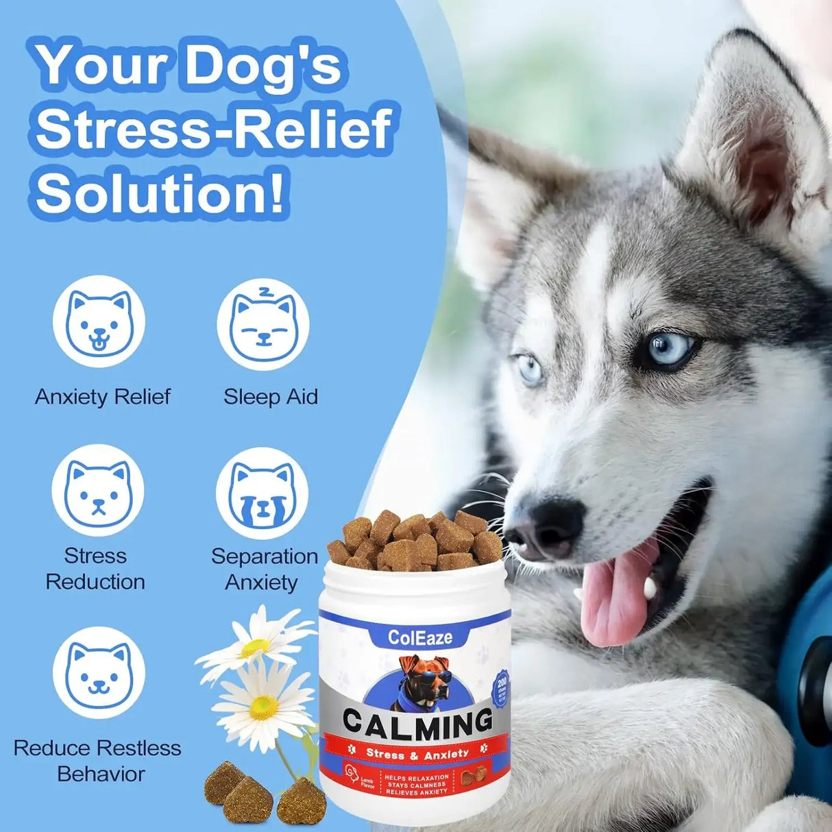 COLEAZE - ColEaze Dog Calming Chews Lamb 200 Masticables - The Red Vitamin MX - Relajantes Para Perros - {{ shop.shopifyCountryName }}