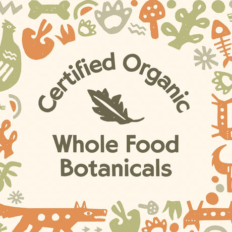 CAVE PETS - Cave Pets Super Blend Powder Multi-Shroom & Probiotics 90 Servicios 90Gr. - The Red Vitamin MX - Suplementos Herbales Para Perros - {{ shop.shopifyCountryName }}