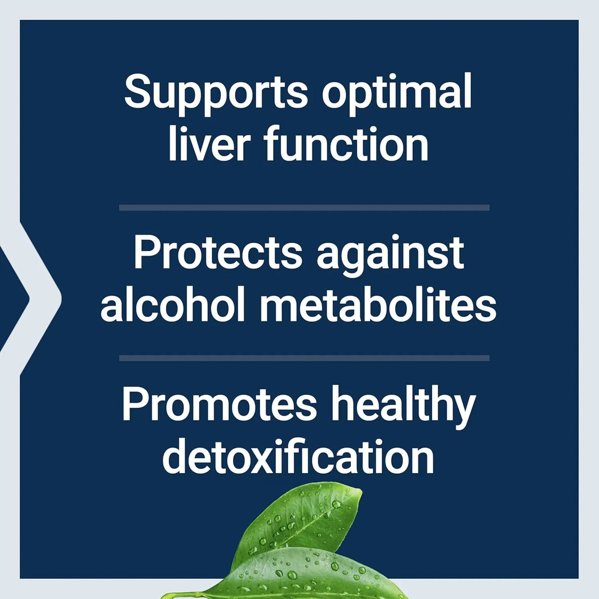 LIFE EXTENSION - Life Extension Anti-Alcohol Complex 60 Capsulas - The Red Vitamin MX - Suplementos Alimenticios - {{ shop.shopifyCountryName }}